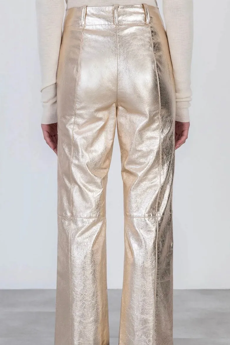 Alysi - Leather Pants: Metal