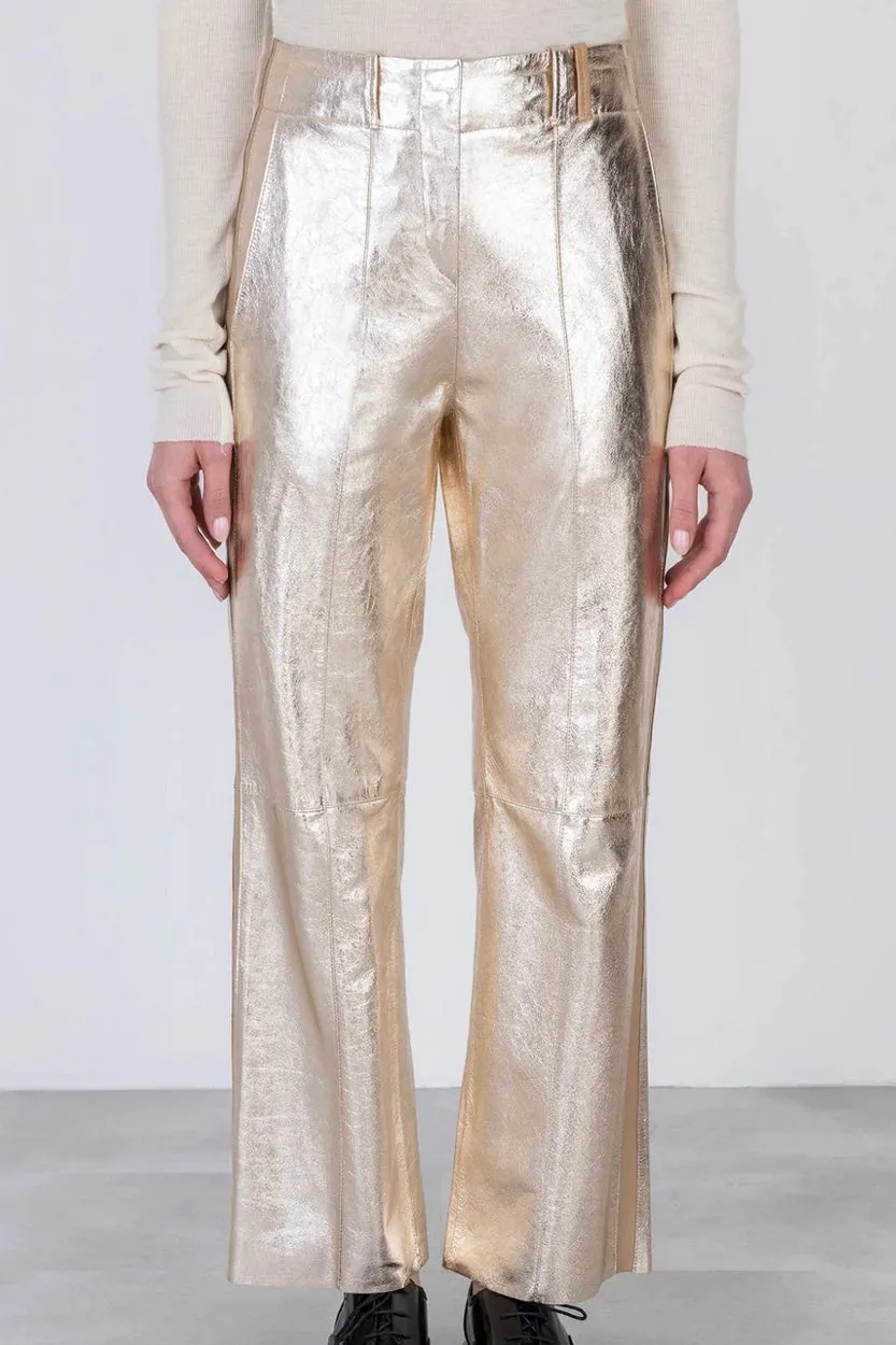Alysi - Leather Pants: Metal