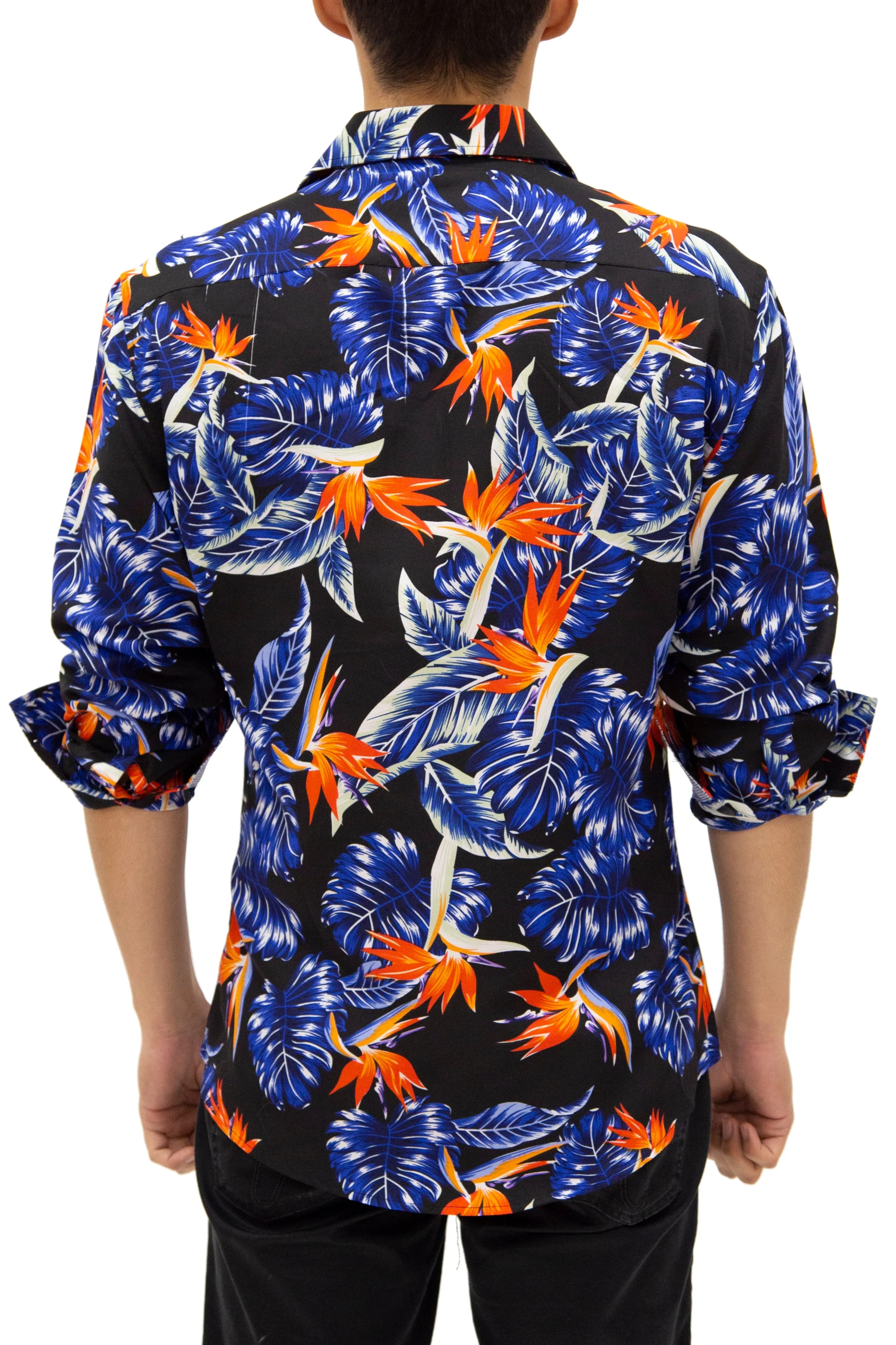 'Birds Of Paradise'
