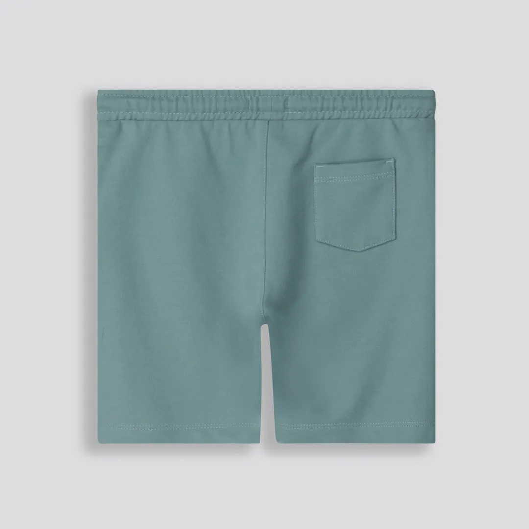 Boys Trackie Shorts _ 153342 _ Green