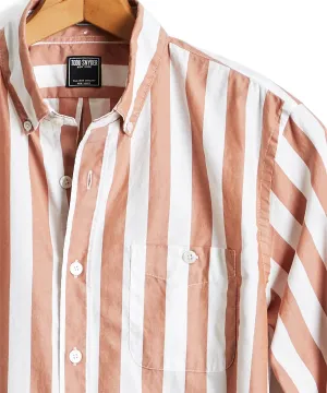 Camel Bold Stripe Oxford Shirt