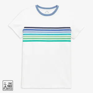 Clearance grown-ups slim fit banner tee in ocean stripes (unisex fit)