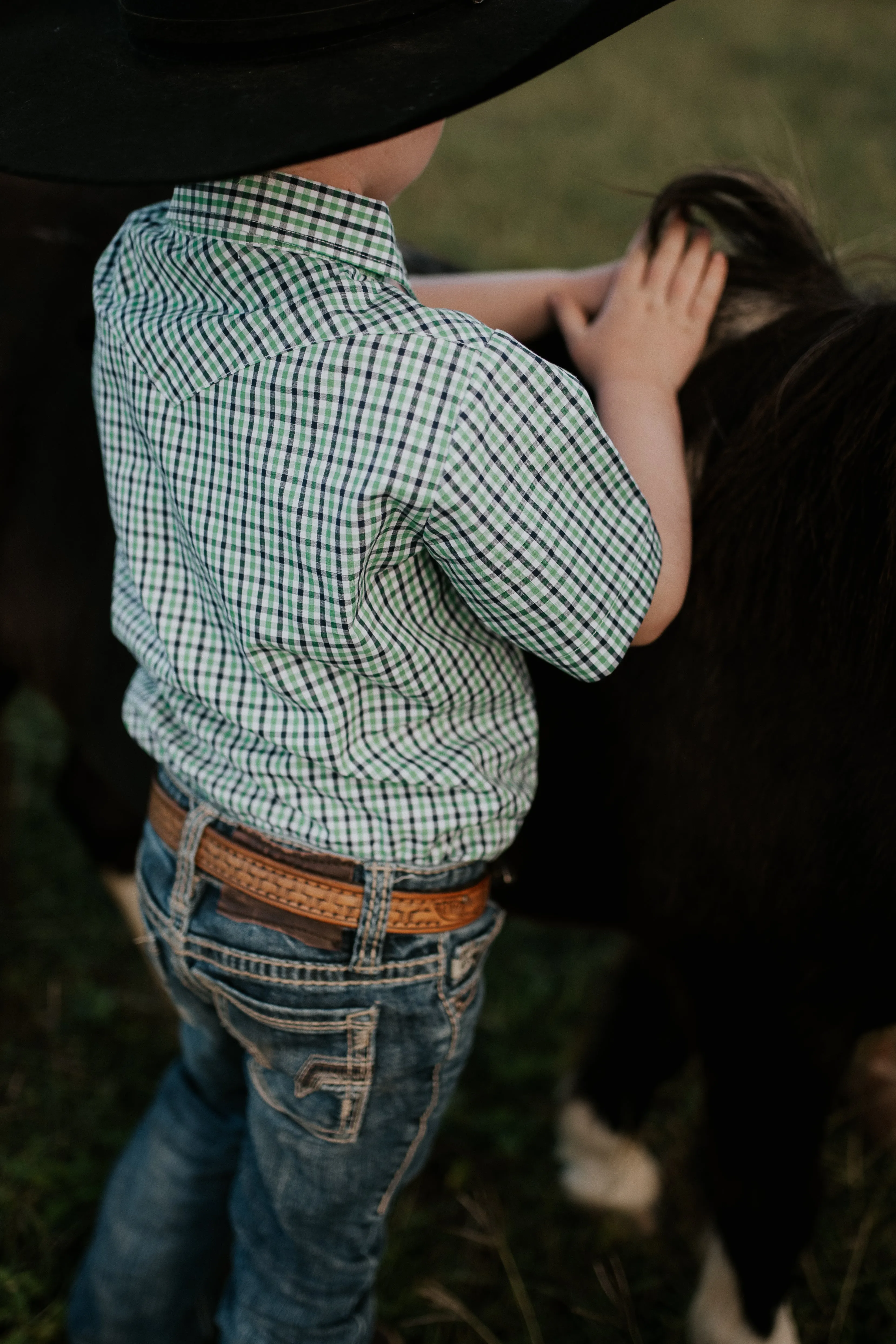 "Colton" Fresh Green & Blue Gingham Short Sleeve Shirt