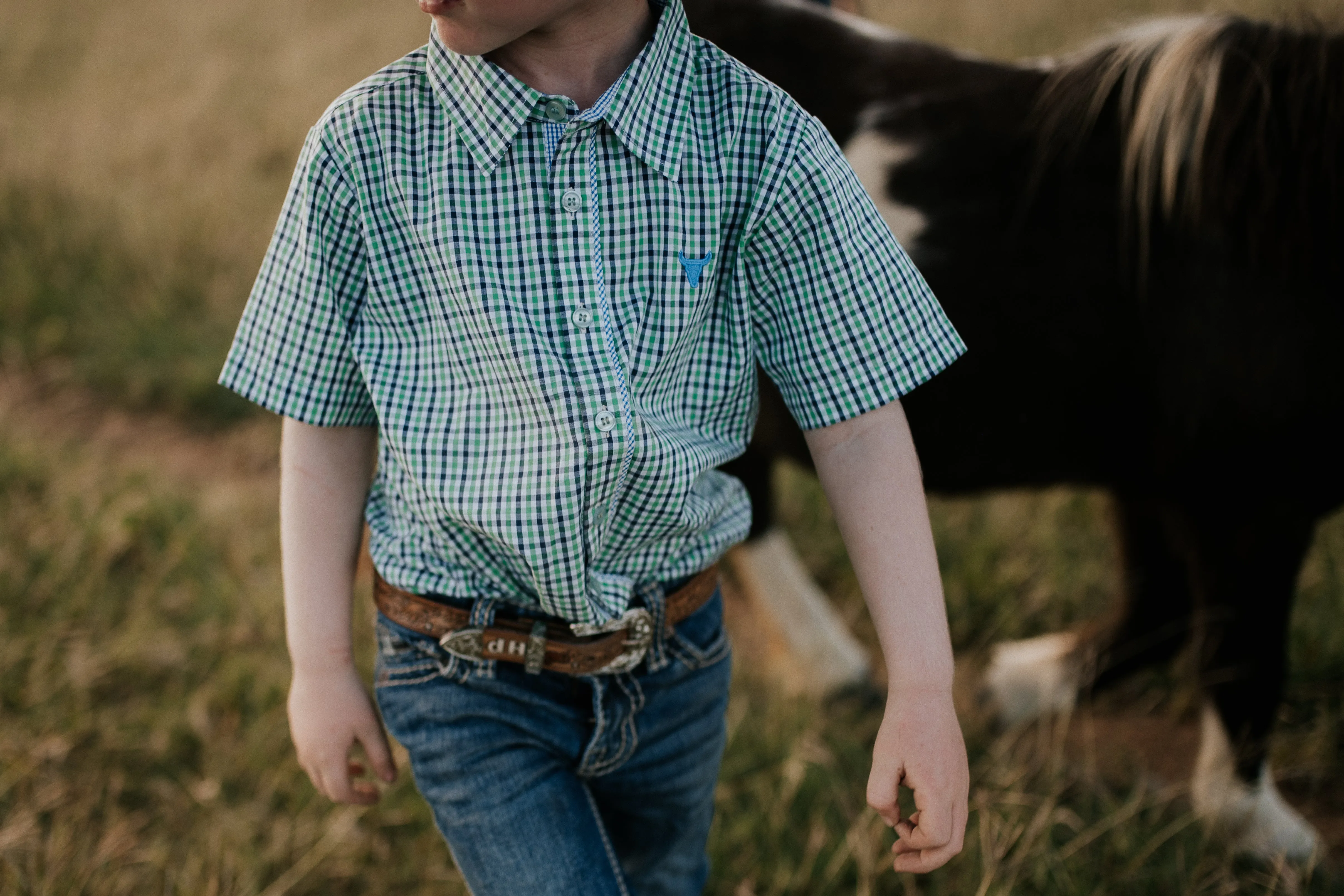 "Colton" Fresh Green & Blue Gingham Short Sleeve Shirt