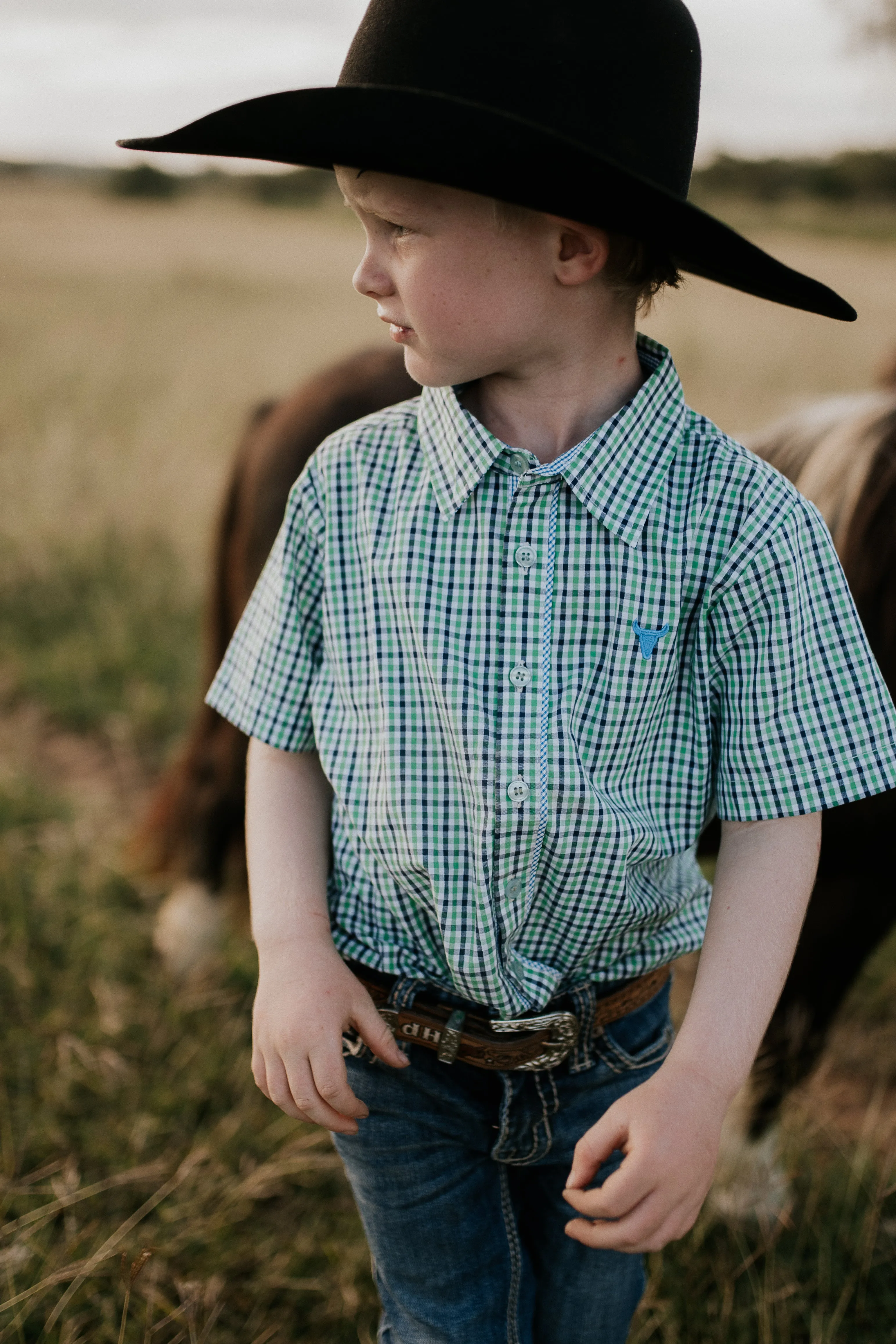 "Colton" Fresh Green & Blue Gingham Short Sleeve Shirt